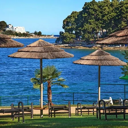 Cleo فيلة Tar-Vabriga